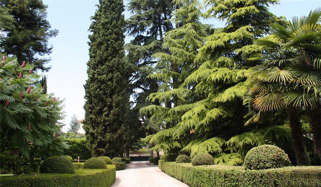 Villa Avesani Пастренґо Екстер'єр фото
